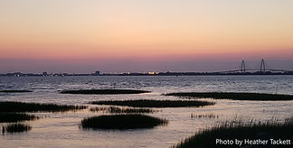 Pitt street sunset with photo by.jpg