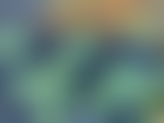 Eco Friendly Pond Creation