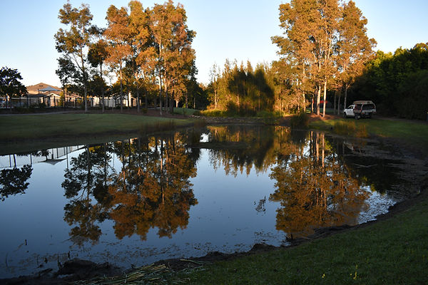 DSC_1442.JPG