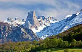 picos eutr.webp