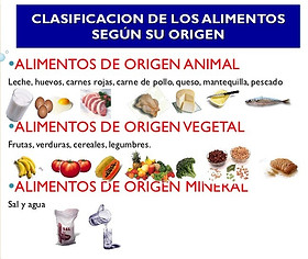 clasificacion-origen.jpeg