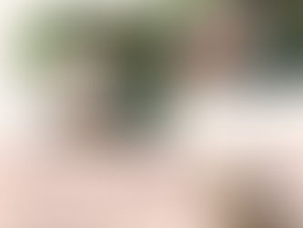 コンサートのお知らせ