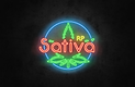 sativ44a.png