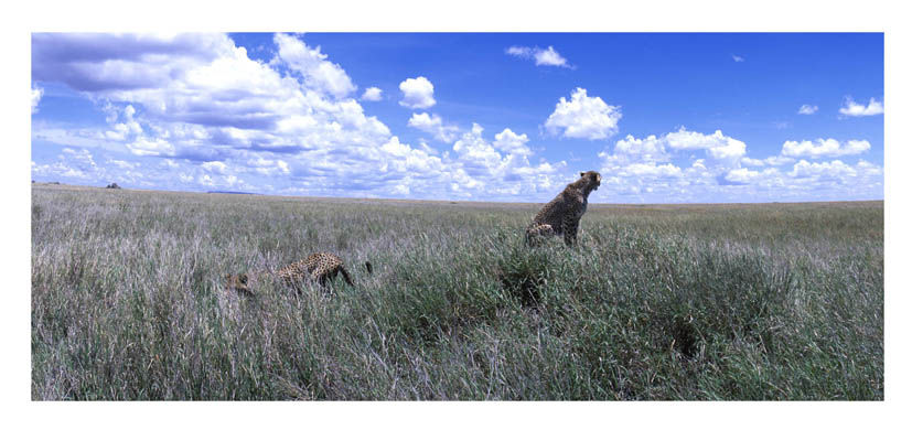 Thumbnail: The Ngorongoro Story