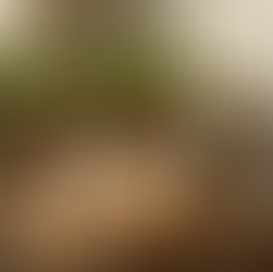 What Is Couples Therapy?