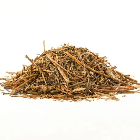 HIMALAYAN SILVER FIR ( Thalisapathri)