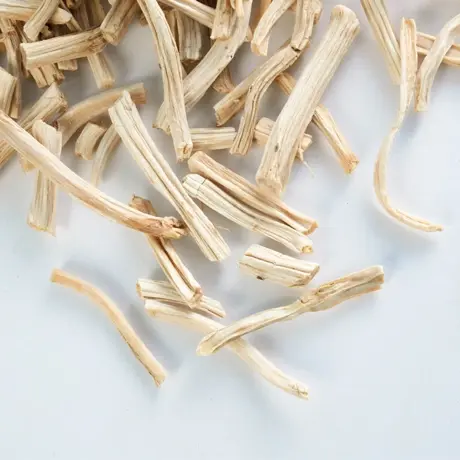 ASPARAGUS RECEMOSUS ( Sathawari kizangu)