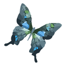 Abstract Butterfly Design