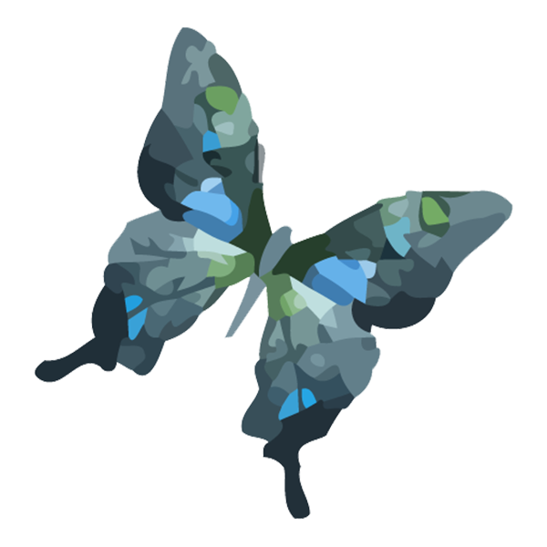 Creative Writing: The Butterfly