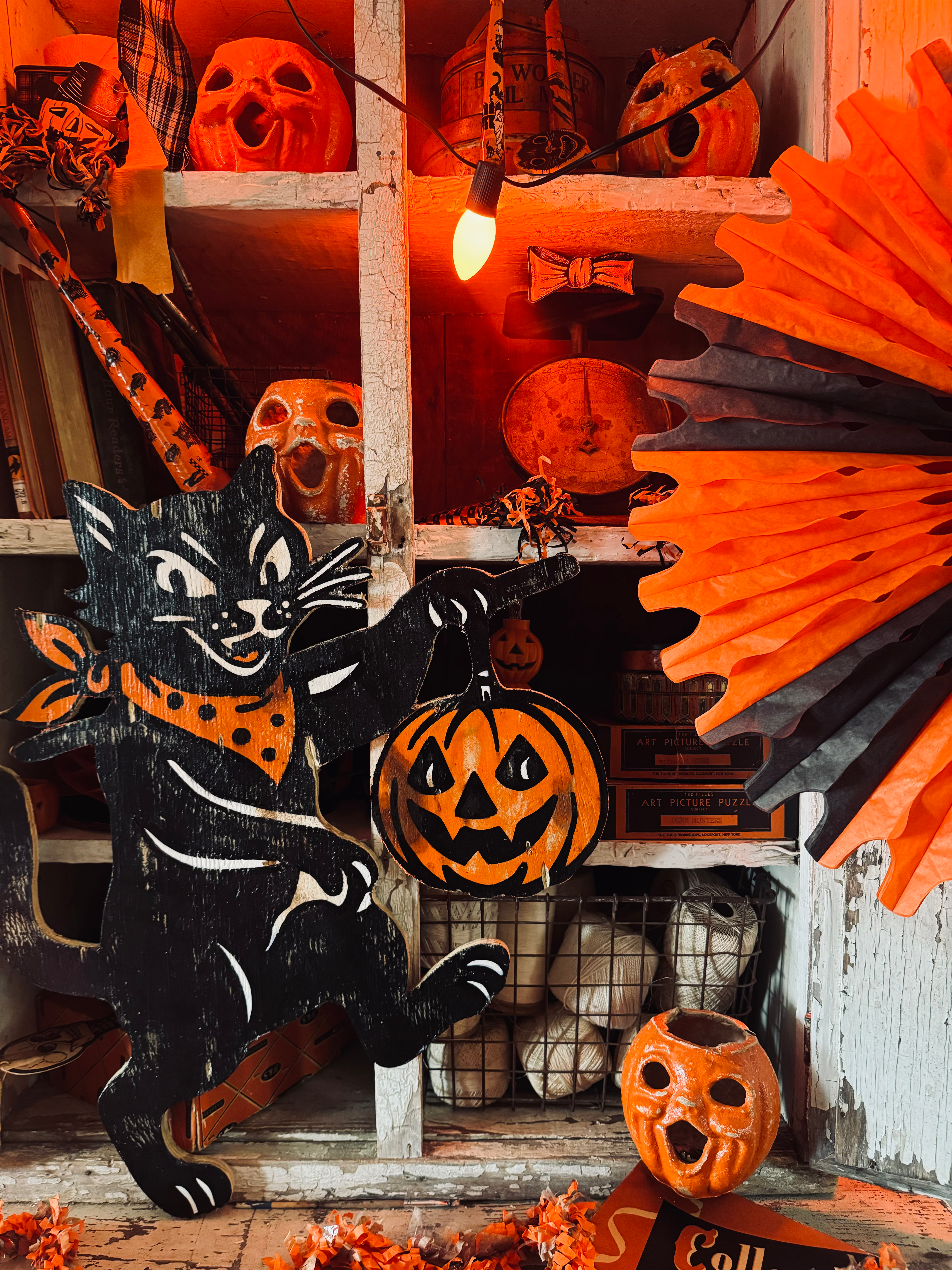 The Cat With The Jack Bindle