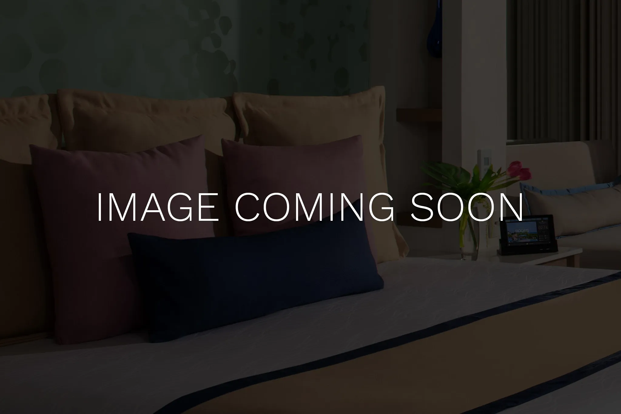 Coming-Soon-Room-Image-EPI.webp