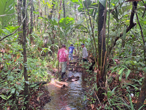 Advancing Forest Governance and Climate Resilience Along the Sarstún River