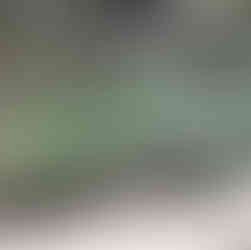 guatemala home gardens