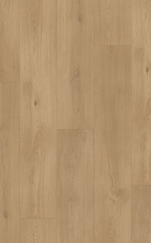 Native Spotted Gum.jpg
