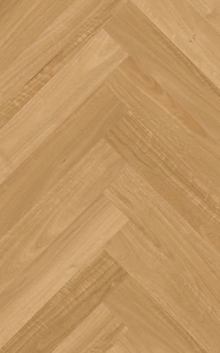 Native Spotted Gum.jpg