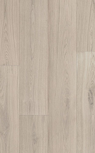 Native Spotted Gum.jpg