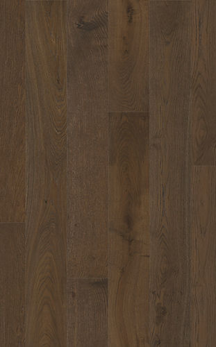 Native Spotted Gum.jpg