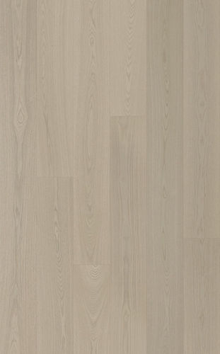 Native Spotted Gum.jpg