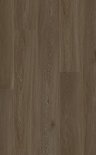 Native Spotted Gum.jpg