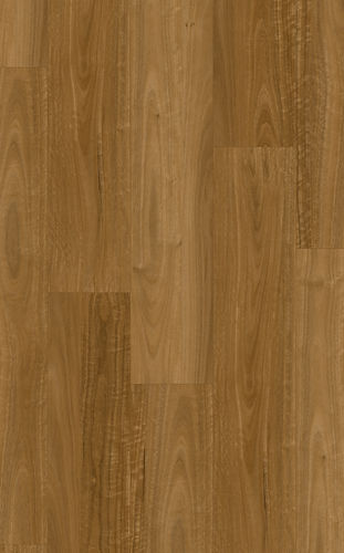 Native Spotted Gum.jpg