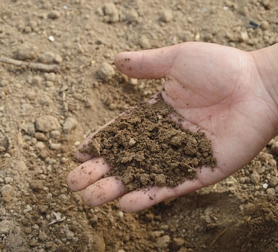 deposito de construção plantas de casas