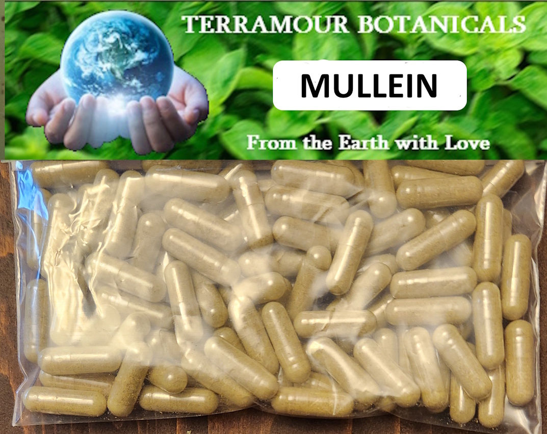 Mullein Capsules (90)