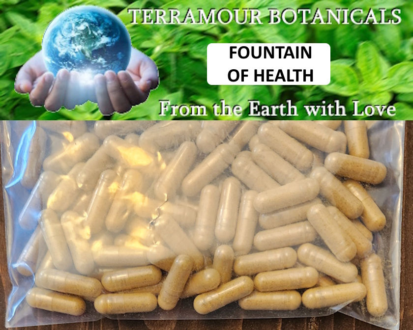 Fountain of Health Capsules (90)