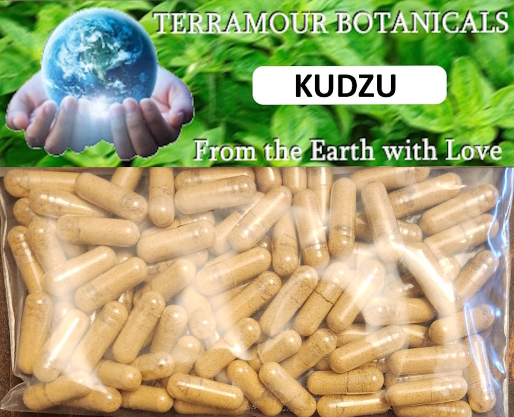 Kudzu Capsules (90)