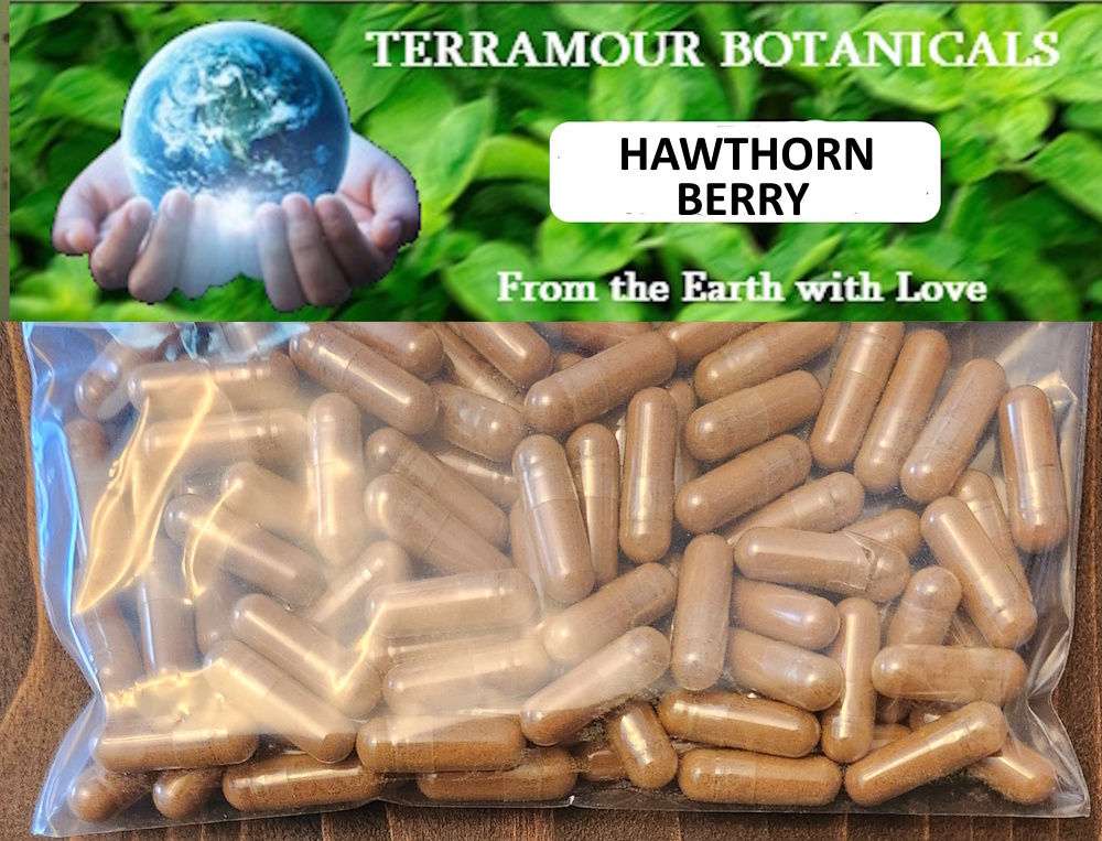 Hawthorn Berry Capsules (90)