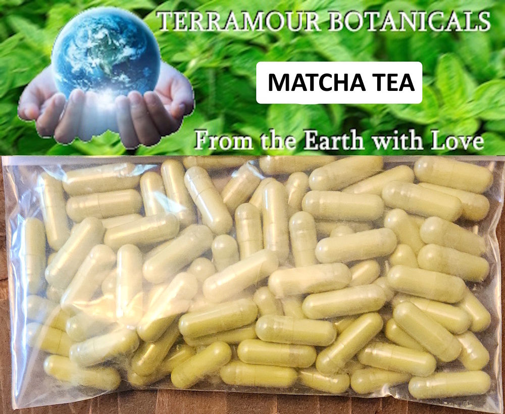 Matcha Tea Capsules (90)