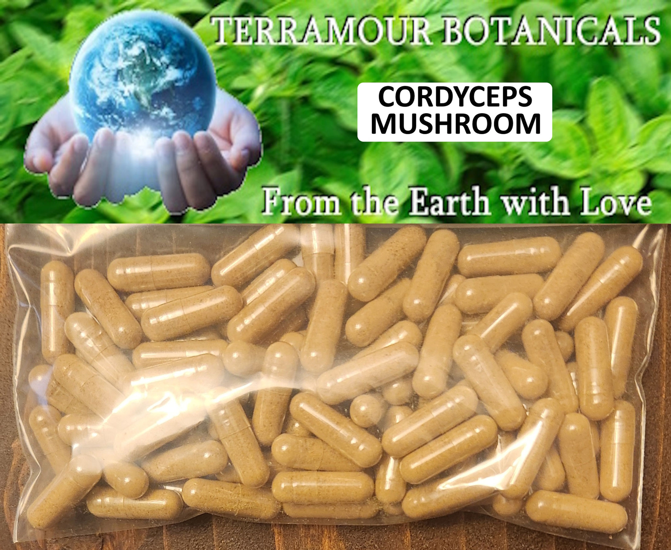 Cordyceps Mushroom Capsules (90)