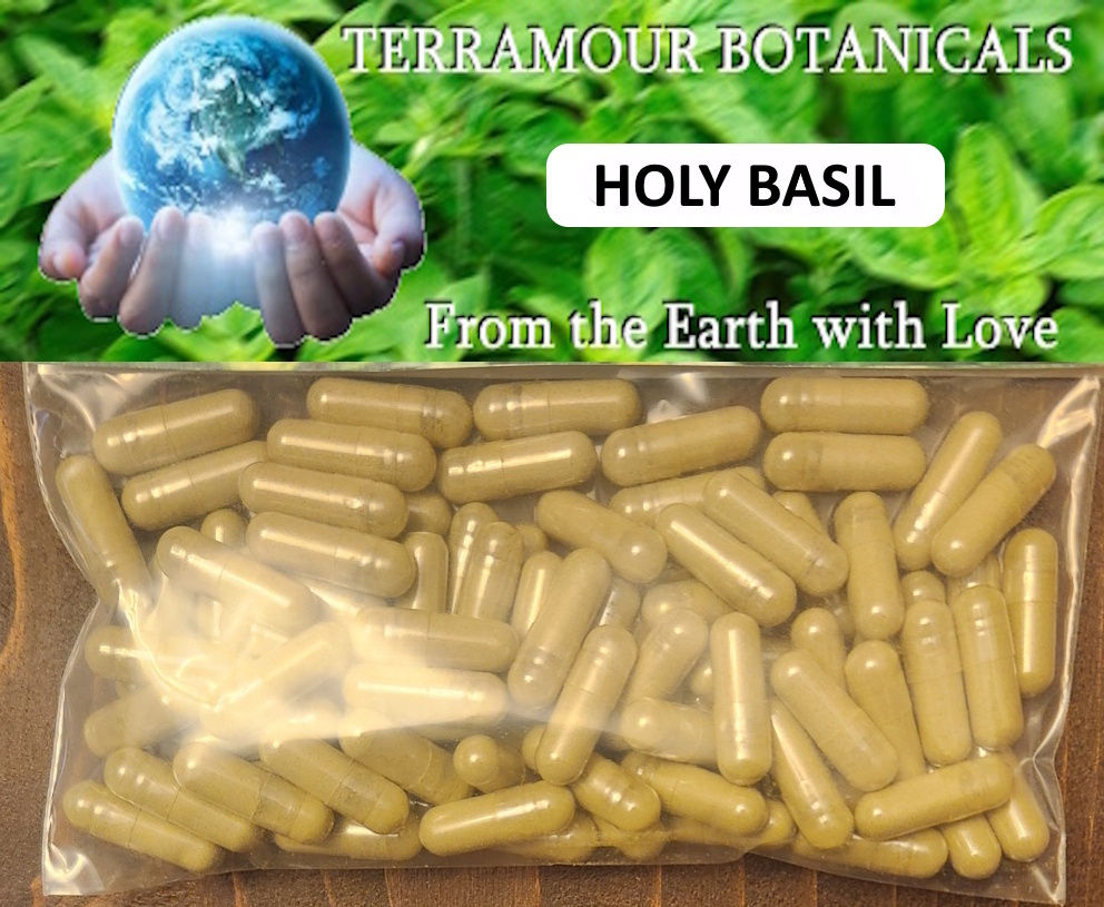 Holy Basil Capsules (90)