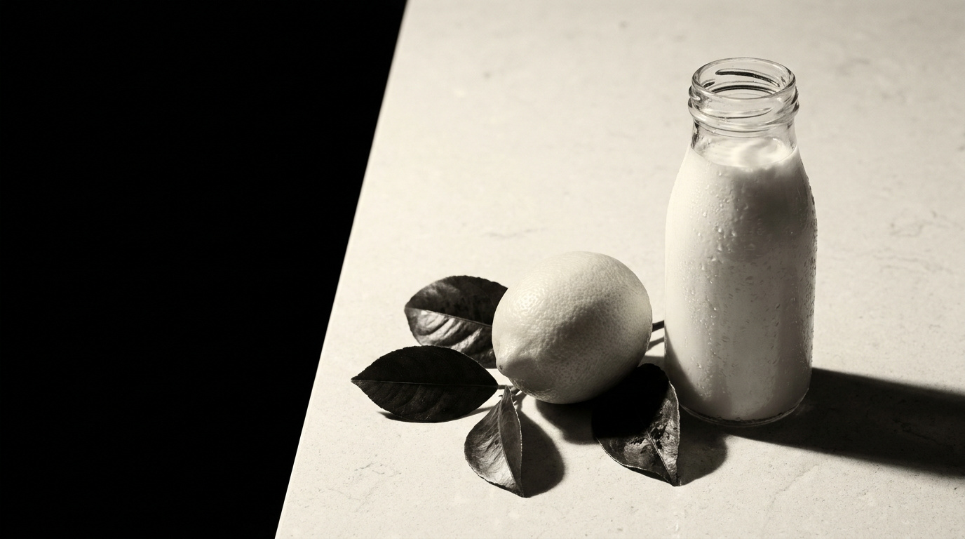 Sculptural editorial still life representing thoughtful innovation