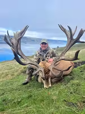 Neil Davies Red Stag in New Zealand