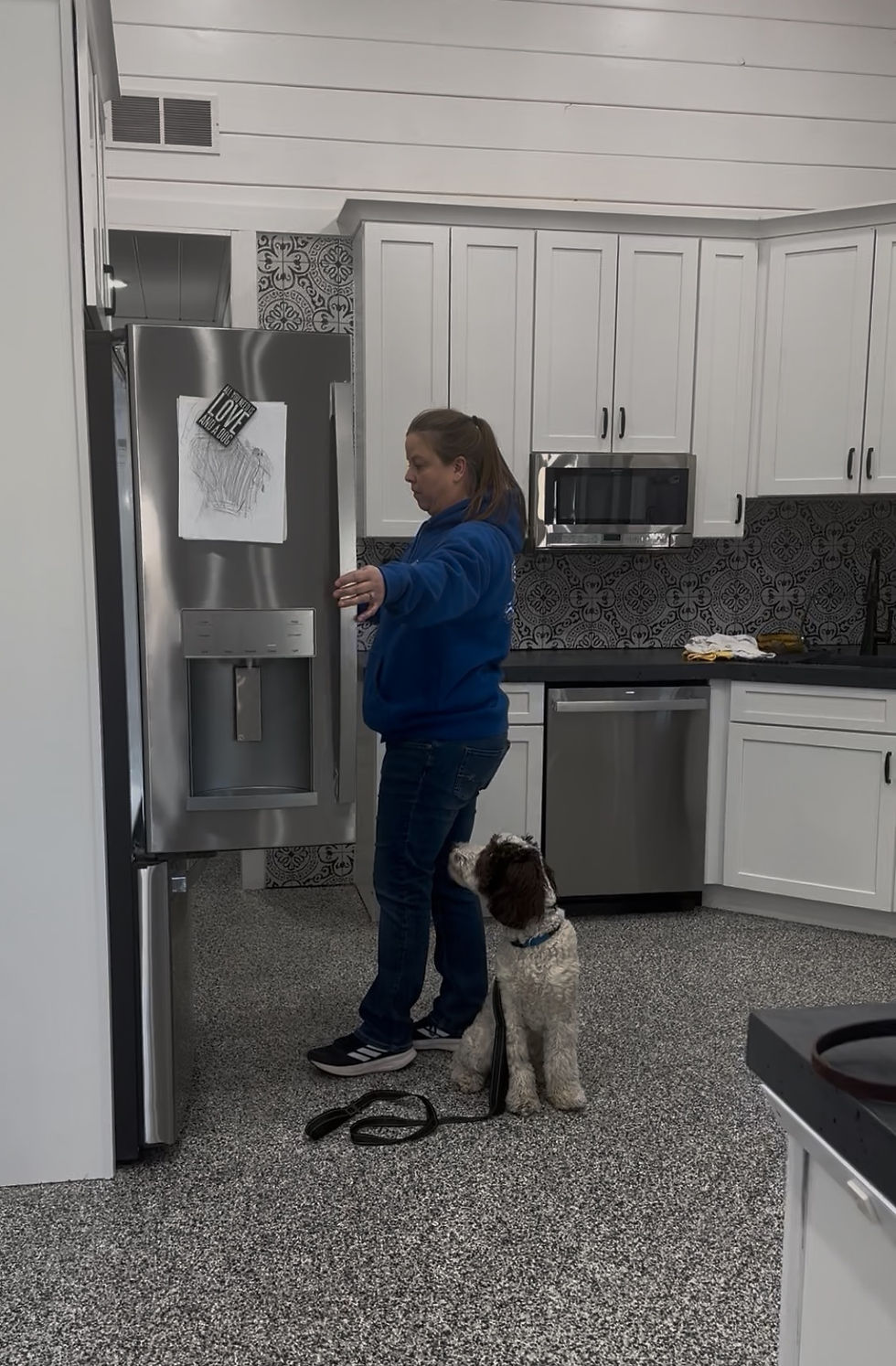 Dog Training Kitchen Etiquette