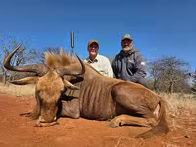 Joey and Rachel Dallmann_Golden Wildebeest.avif