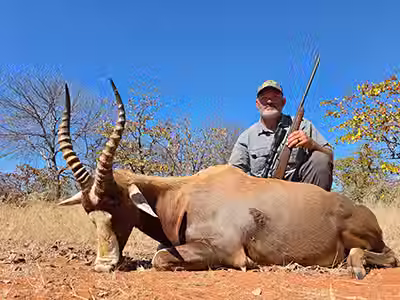 Joey and Rachel Dallmann_Common Blesbok.avif