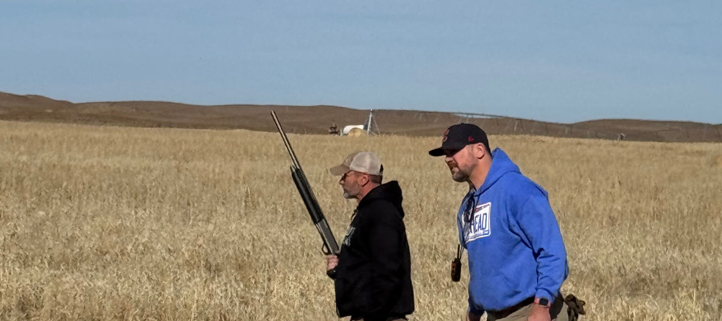 Upland Bird Hunting with Dogs