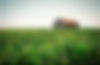 Barn in Background_Optimized for Web.jpg