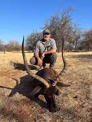 Joey and Rachel Dallmann_Black Impala.avif