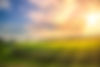 Farmhouse and Sun Rays_Web Optimized.jpg