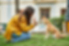 Dog Training_1.png