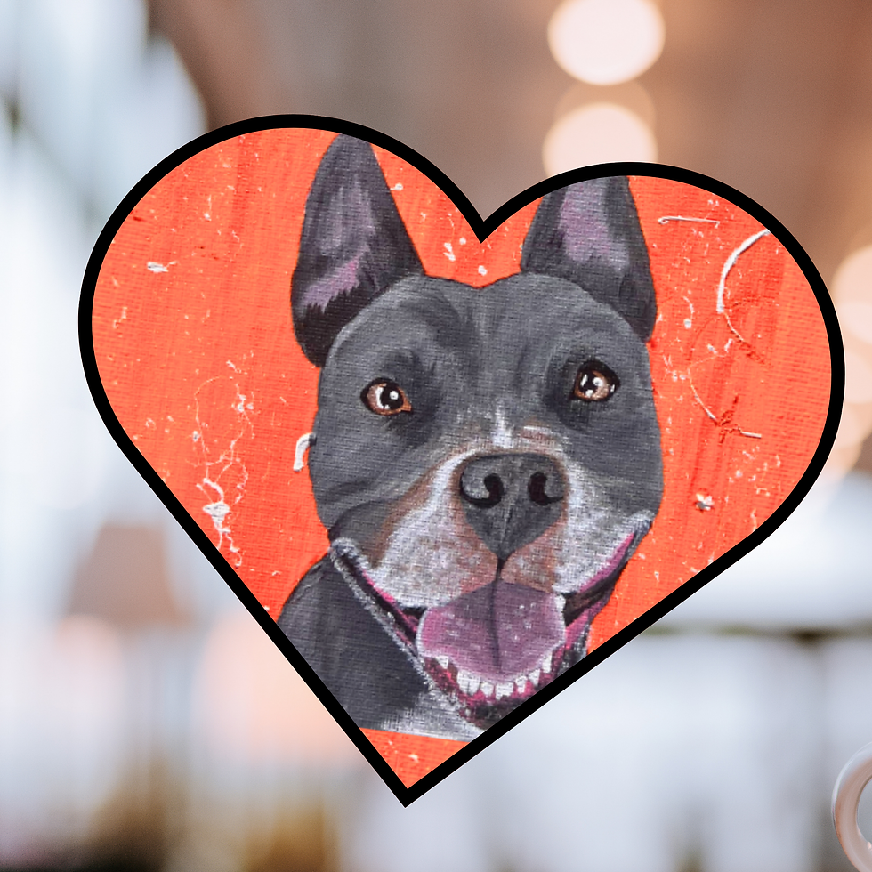 Valentine's Paint Your Pet