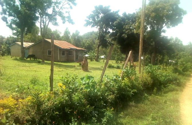 New Home for Upendo!