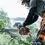Thumbnail: T540XP Mark II-Professional Climbing Saw