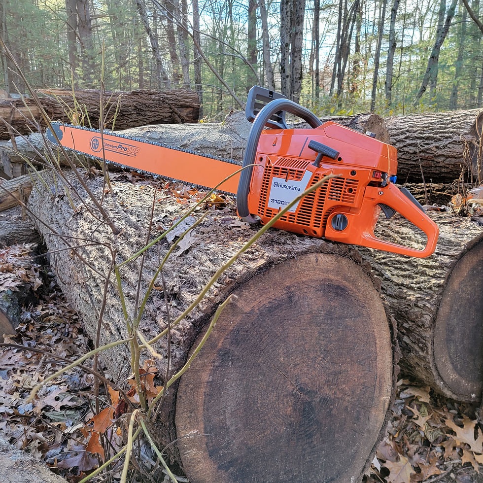 Thumbnail: SLD42-63VQ Husqvarna 3120XP .404  .063