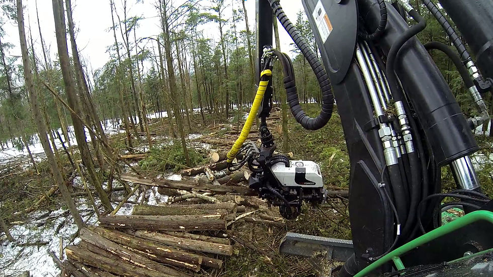 Thumbnail: AFM 55 Harvester Head