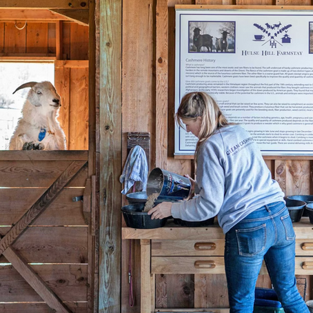 Article by Farm & Fiber Knits