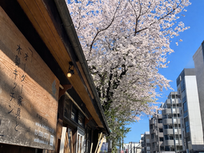 4月、急なご相談にも対応できます◎イベントももりもりです