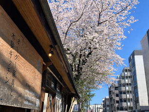 4月、急なご相談にも対応できます◎イベントももりもりです